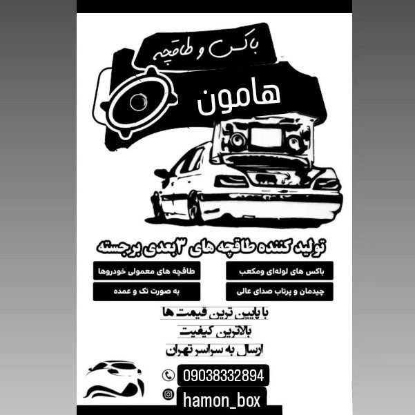 طاقچه سه بعدی(پس کرایه) خودروی 206و 207هاچپک با کیفیت فوقالعاده بالا